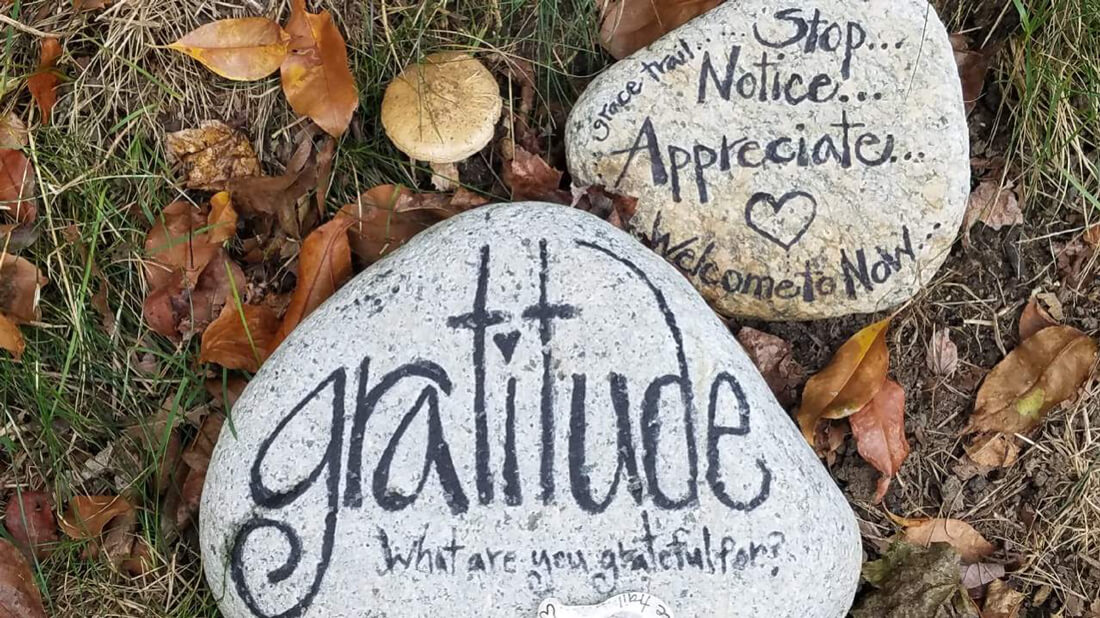 Gratitude and Appreciation